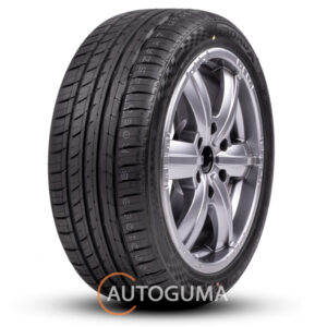Купити Roadx RXMotion U11 225/55 R16 99Y XL (423935)