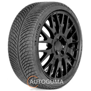 Купити Michelin Pilot Alpin 5 305/30 R21 104V XL NA5  (374628)