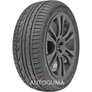 Купити Rydanz Roadster R02 225/55 ZR16 99W XL (518043)
